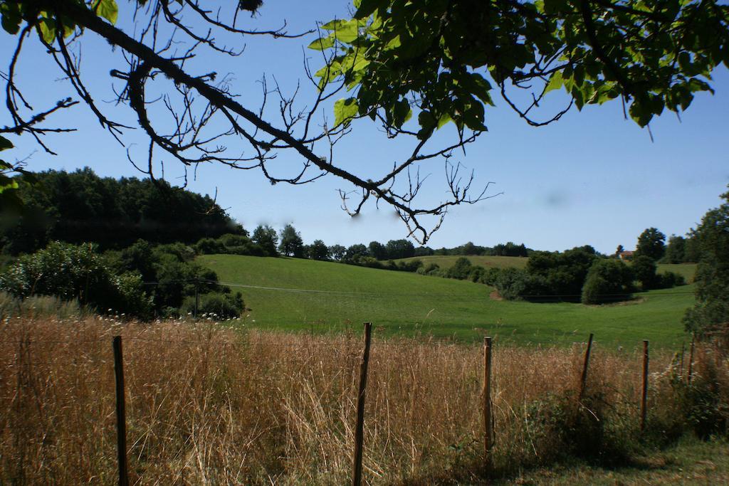 Domaine De Romefort Saint-Léonard-de-Noblat エクステリア 写真