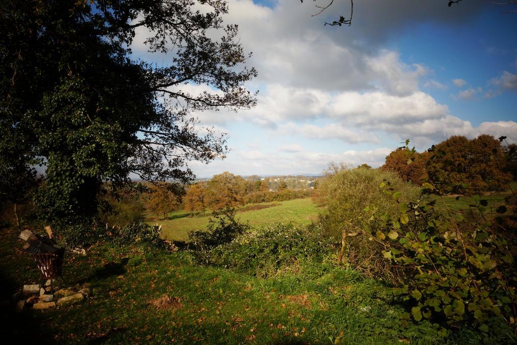 Domaine De Romefort Saint-Léonard-de-Noblat 部屋 写真