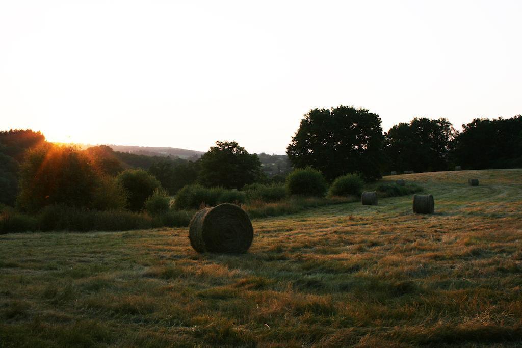 Domaine De Romefort Saint-Léonard-de-Noblat 部屋 写真