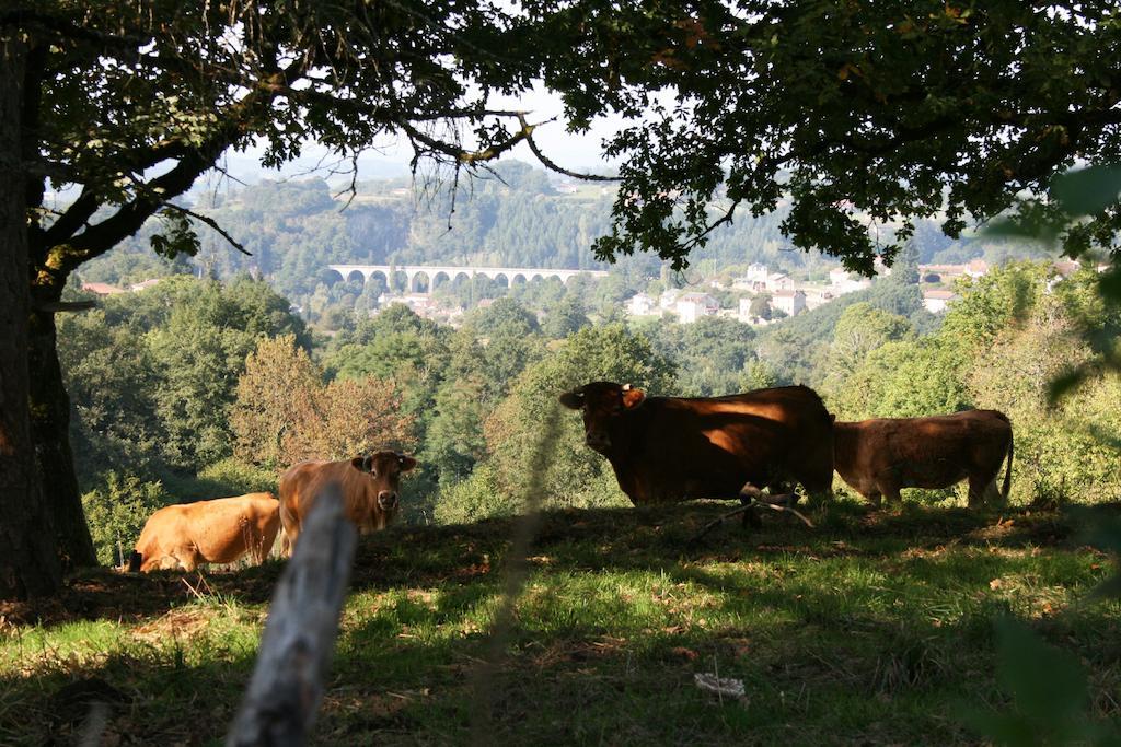 Domaine De Romefort Saint-Léonard-de-Noblat 部屋 写真